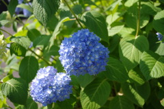IMGP0419