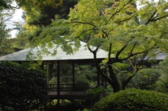 東屋