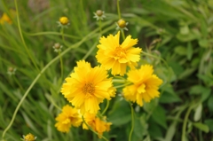 IMGP0696