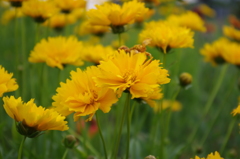 IMGP0044