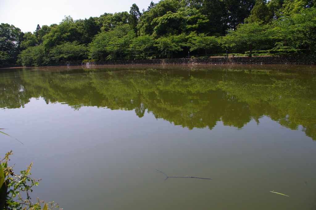 IMGP0778