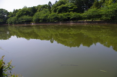 IMGP0778