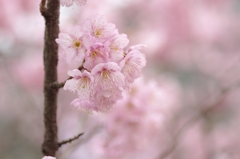 武丈公園2