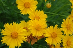 IMGP0850
