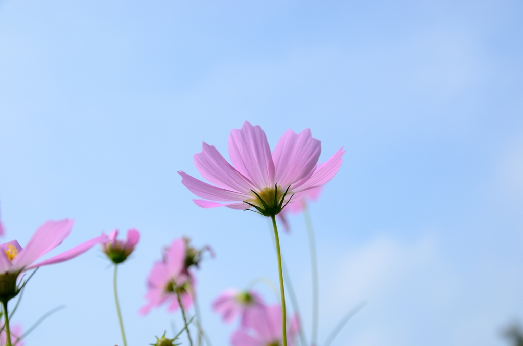 一日千秋の空