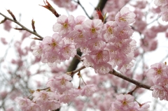 武丈公園9