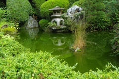 池