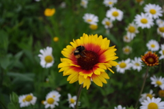 IMGP0026