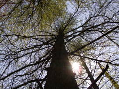 DSCF1312