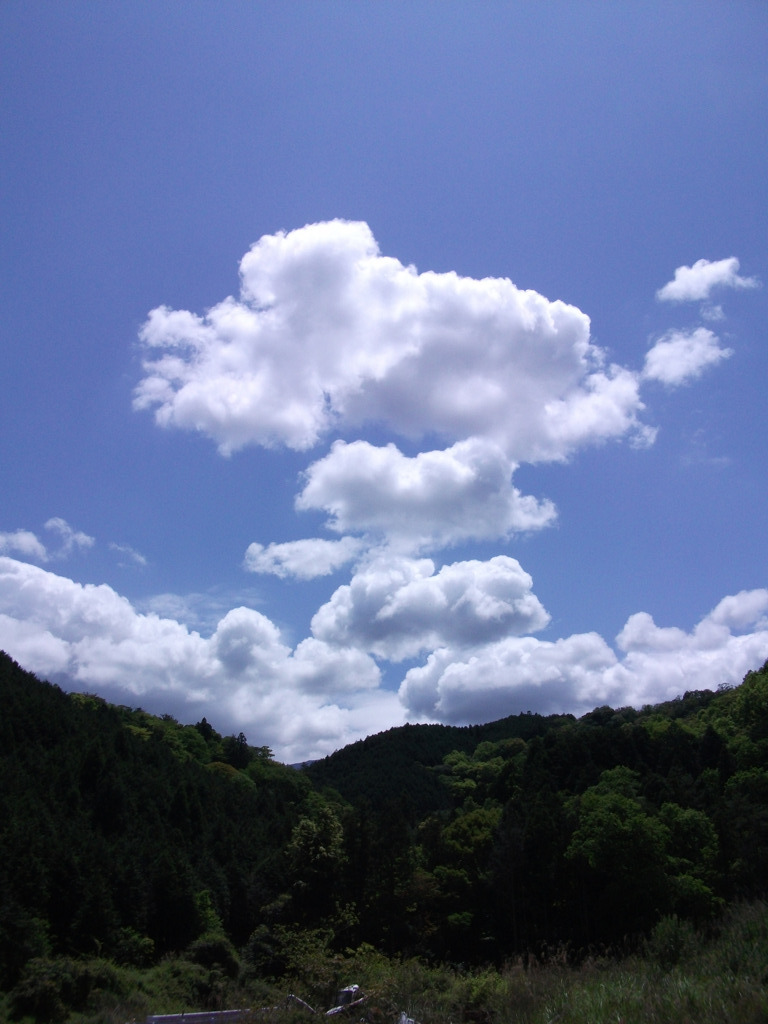 DSCF2976