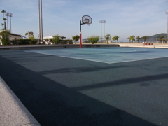 DSCF2593