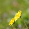 IMGP7733