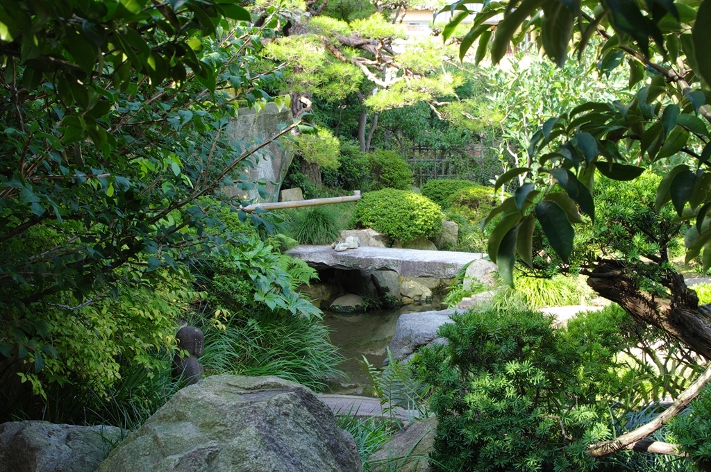 茶室にある庭