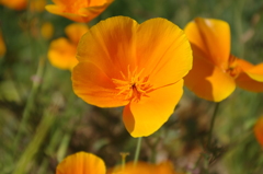 IMGP0397