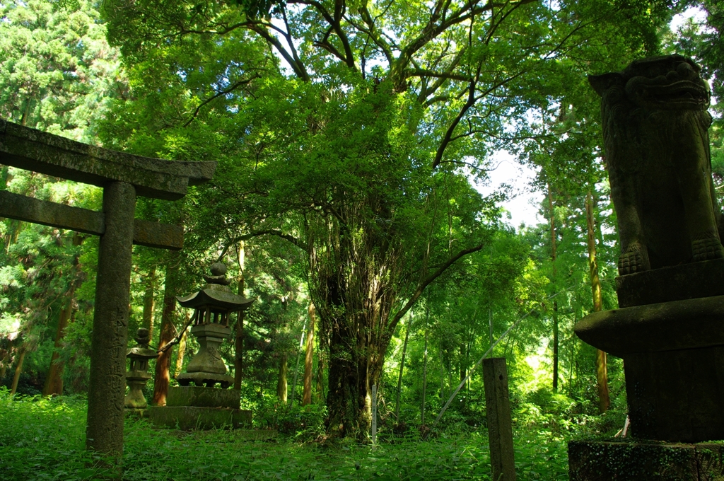 鎮座