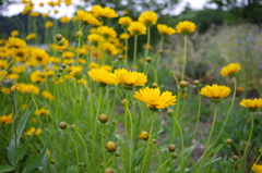 IMGP0022