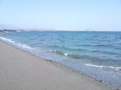 DSCF1606