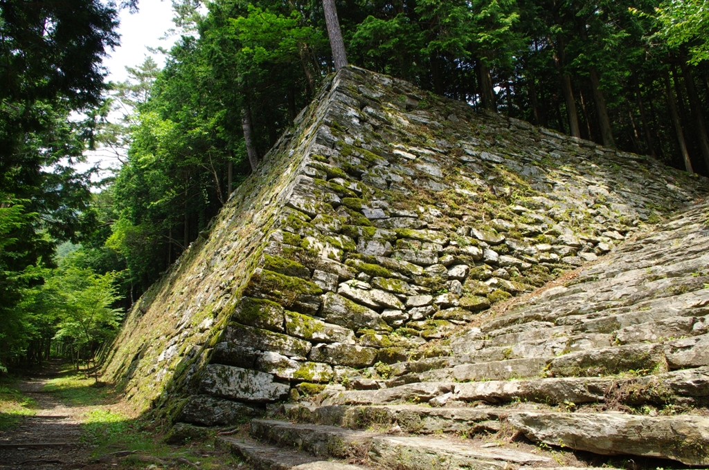 森と石