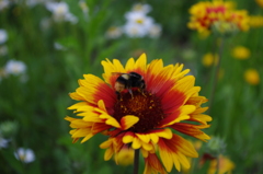 IMGP0024