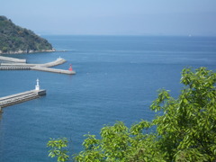 DSCF1153