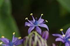 IMGP9184