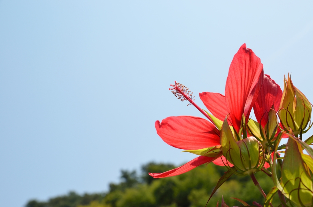 ☆夏満喫♪☆