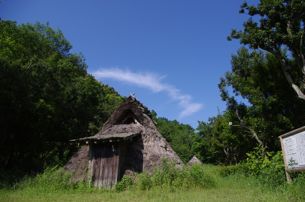 IMGP0559