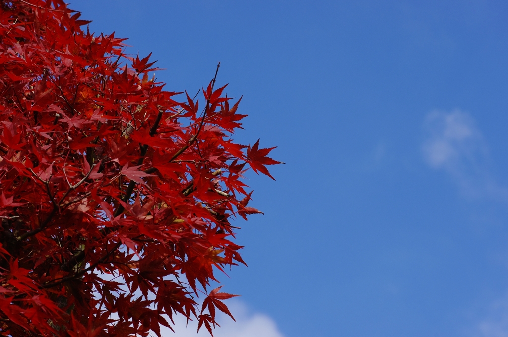 red & blue