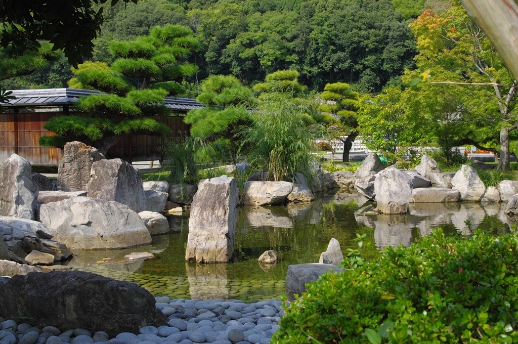 池と庭2