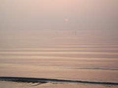 DSCF2230