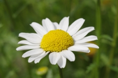 IMGP9289