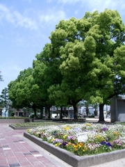 HDRDSCF2878