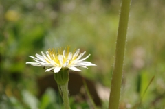 IMGP7174