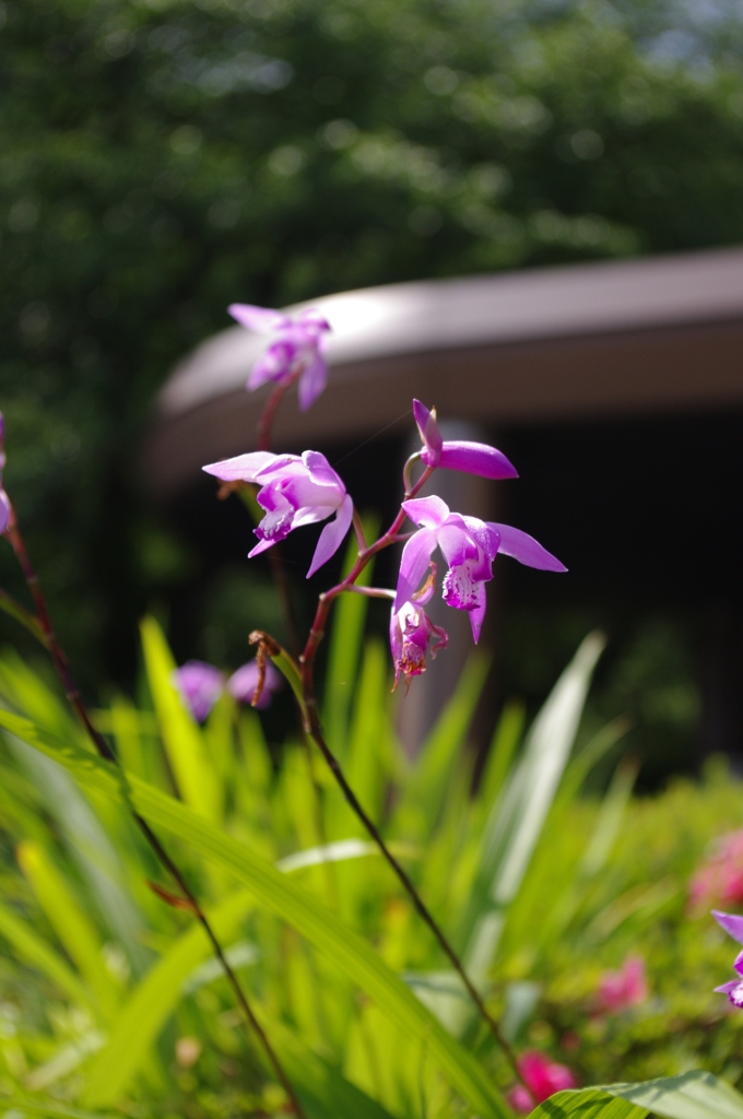 IMGP0396