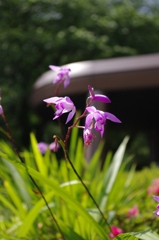 IMGP0396