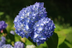 IMGP0414