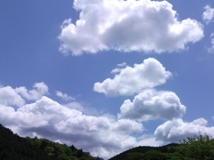 HTRDSCF2970