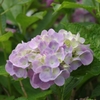 IMGP0097