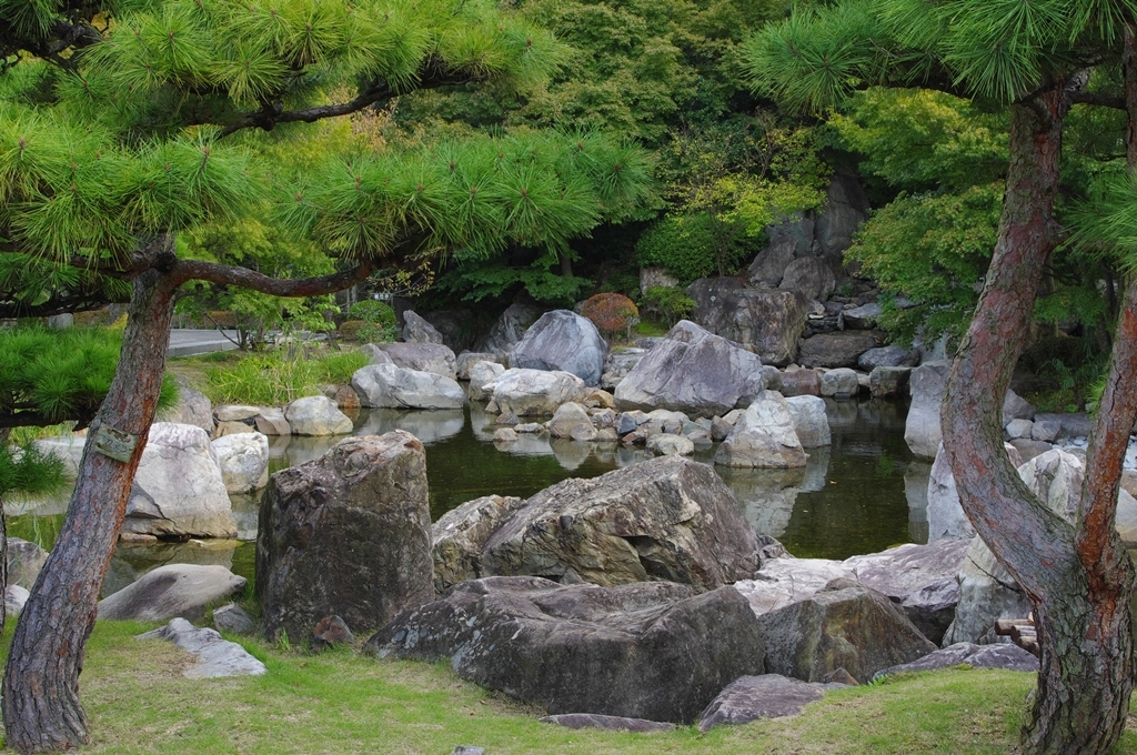 池と庭