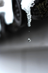 雪から水へ