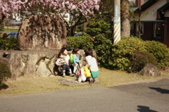 写真は飽きた。