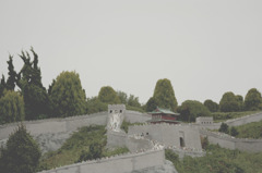 _MG_9872