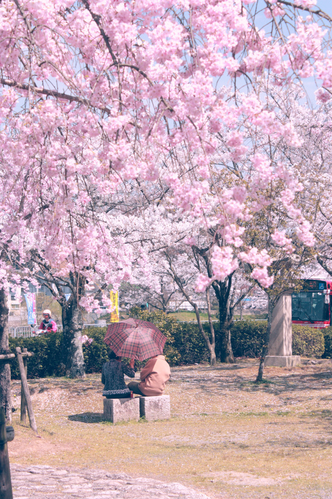ふたりじめ。