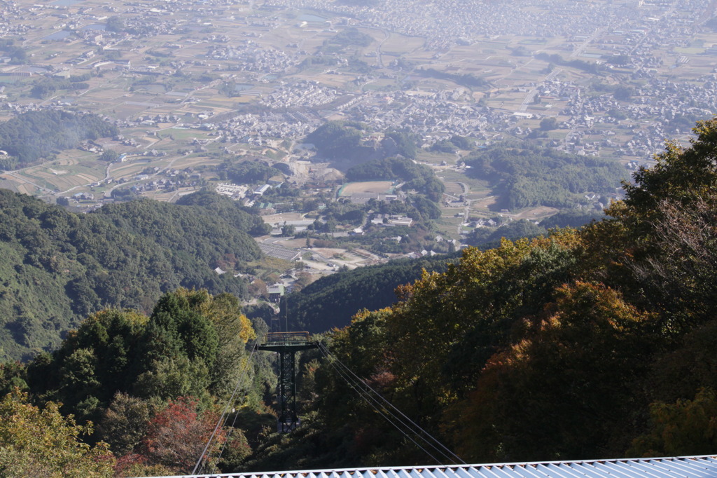 ススキ