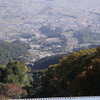 ススキ
