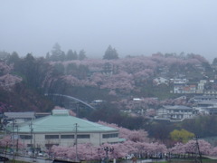 桜に埋もれる町