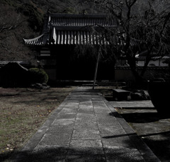 冬花火