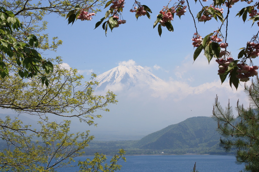 本栖湖からの富士