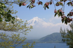 本栖湖からの富士