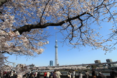 隅田公園からの東京スカイツリー